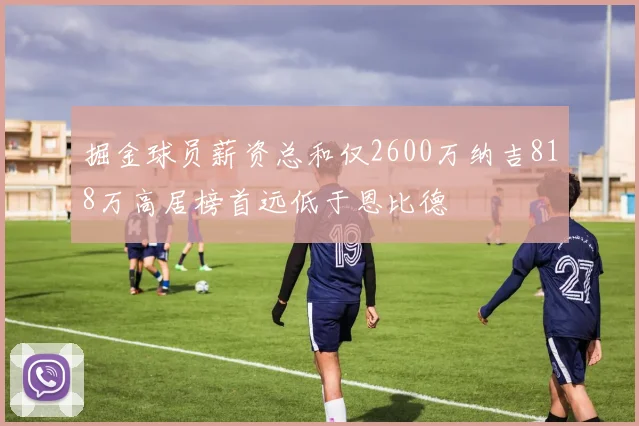 掘金球员薪资总和仅2600万纳吉818万高居榜首远低于恩比德